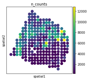 ../_images/notebooks_getting-started_15_0.png